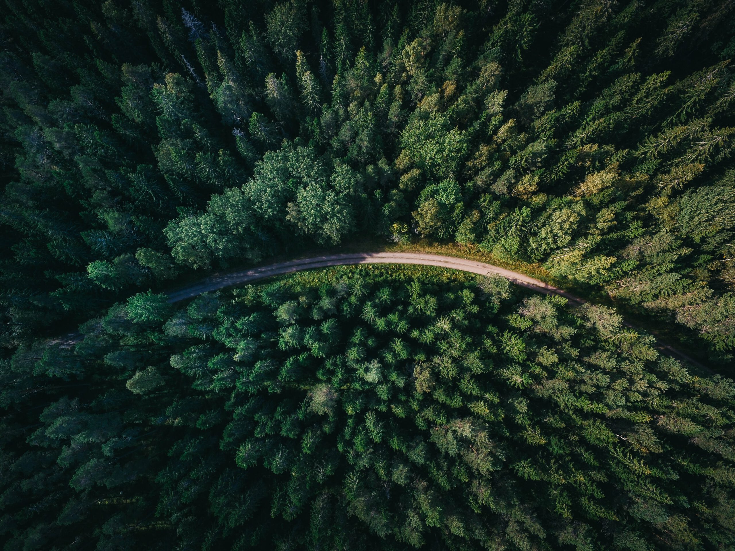 https://www.malikhaingpinoy.ph/wp-content/uploads/2024/07/geran-de-klerk-qzgN45hseN0-unsplash-scaled-1-1.jpg