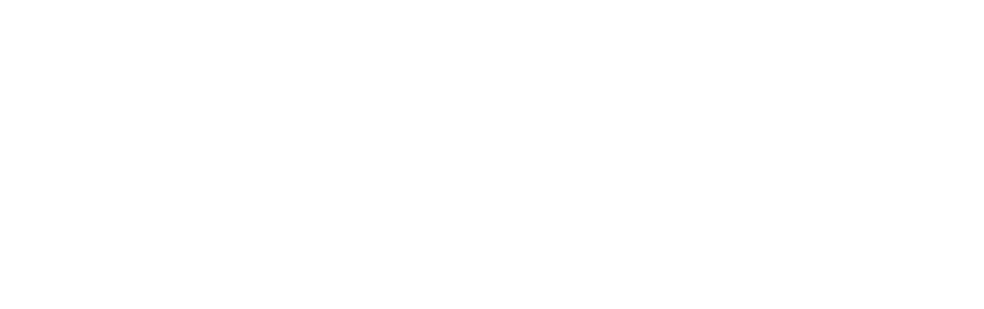 Cursive MPP logo copy 2